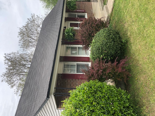 603 East Sevier Street